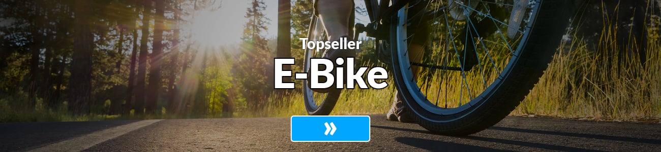 WADE Fallback-Teaser E-Bike